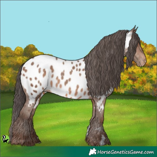 Horse Color:Sable Champagne Near Leopard