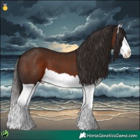 Horse Color:Liver Chestnut Splash