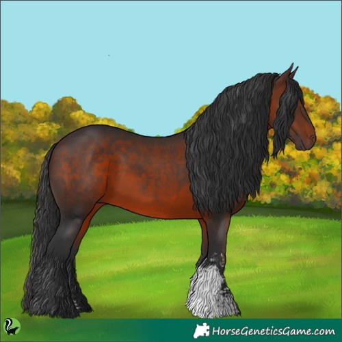 Horse Color:Brown Sabino 