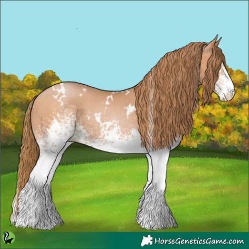 Horse Color:White Spotted Bay Pearl