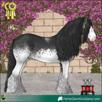 Horse Color:White Spotted Brown 