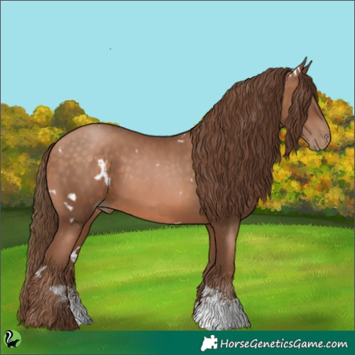Horse Color:White Spotted Brown Pearl Sabino 