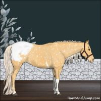 Horse Color:Palomino Tobiano Snowcap 