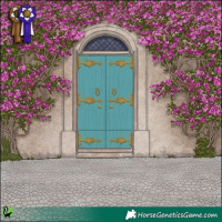 Horse Color:White Spotted Classic Champagne Appaloosa