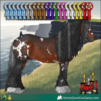 Horse Color:White Spotted Brown