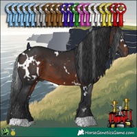 Horse Color:White Spotted Brown 