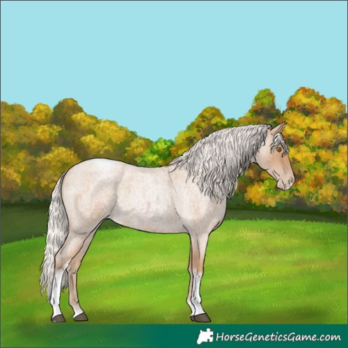 Horse Color:Silver Blue Roan Pearl Tobiano Frame