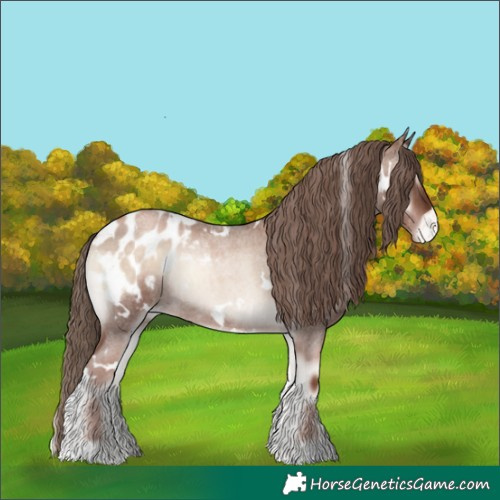 Horse Color:White Spotted Blue Onyx Roan Pearl Appaloosa Rabicano 