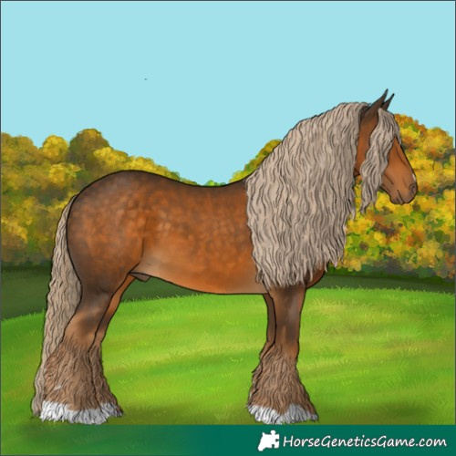 Horse Color:Chocolate Palomino