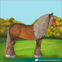 Horse Color:Chocolate Palomino 
