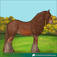 Horse Color:Chestnut 