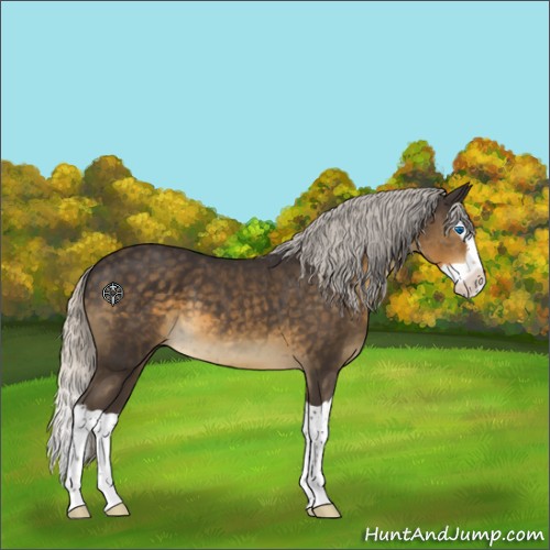 Horse Color:Silver Smoky Black Splash 