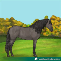 Horse Color:Smoky Grullo 