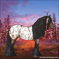 Horse Color:Bay Near Leopard  and Bay Near Fewspot 