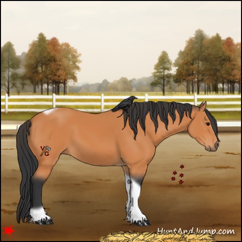 Horse Color:Bay Tobiano Frame