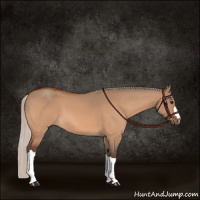 Horse Color:Silver Bay Dun 