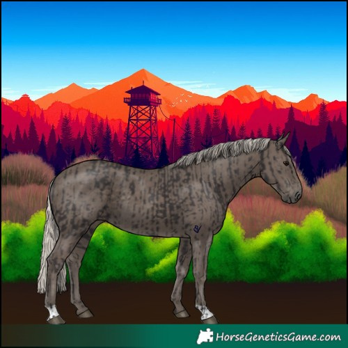 Horse Color:Smoky Black  and Silver Smoky Black 