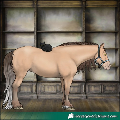 Horse Color:Amber Champagne 