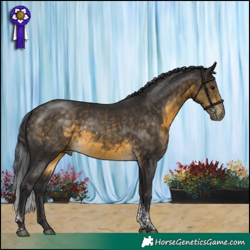 Horse Color:Buckskin Tobiano 