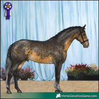 Horse Color:Buckskin Tobiano 