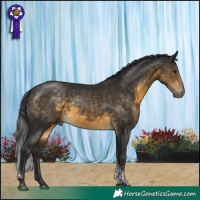 Horse Color:Buckskin Tobiano 