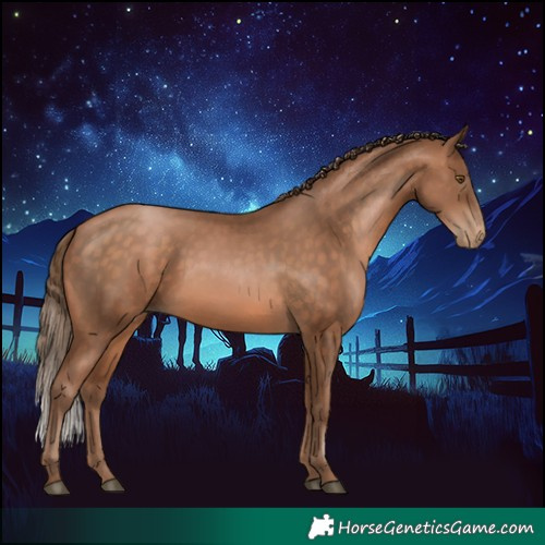 Horse Color:Brown Pearl 