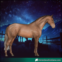 Horse Color:Brown Pearl 