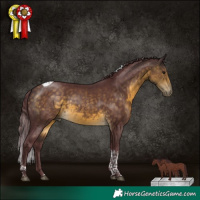 Horse Color:Chocolate Buckskin Tobiano