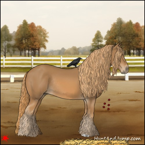 Horse Color:Chestnut Rabicano