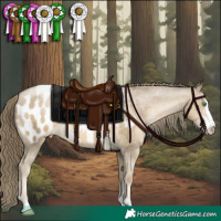 Horse Color:Smoky Black Pearl Sabino Appaloosa Rabicano 