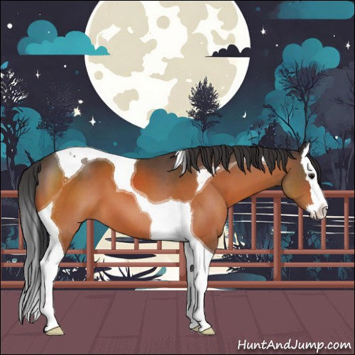 Horse Color:Brown Splash Tobiano 