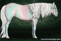 Horse Color:Cremello Splash Rabicano  Brindle