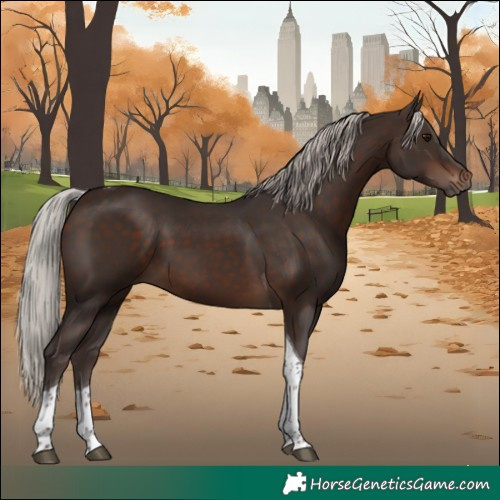 Horse Color:Silver Brown Sabino Tobiano