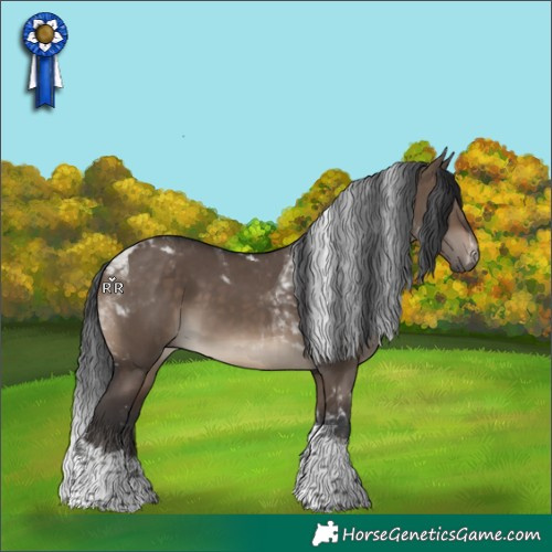 Horse Color:Brown Dun Tobiano 