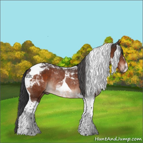 Horse Color:Bay Mushroom Tobiano Rabicano 