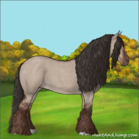 Horse Color:Liver Red Dun Roan Rabicano