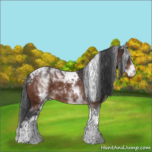 Horse Color:White Spotted Bay Tobiano 