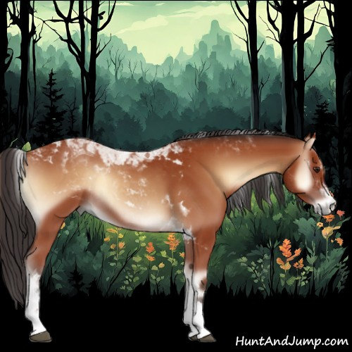 Horse Color:Bay Onyx Tobiano Rabicano 