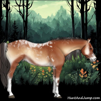 Horse Color:Bay Onyx Tobiano Rabicano 