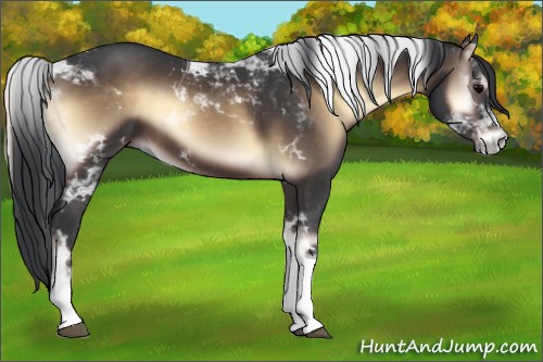 Horse Color:Brown Onyx Tobiano