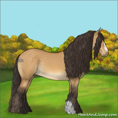 Horse Color:Buckskin Dun Rabicano 