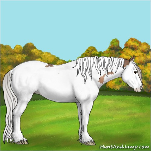 Horse Color:Silver Brown Dun Splash Tobiano