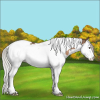 Horse Color:Silver Brown Dun Splash Tobiano 
