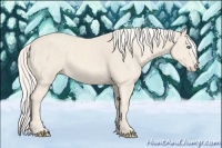 Horse Color:Cremello Splash  Brindle