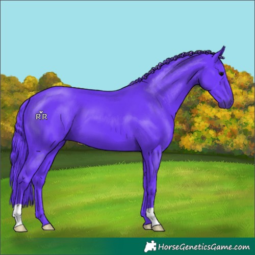 Horse Color:Watercolor Black 