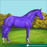 Horse Color:Watercolor Black 