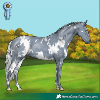 Horse Color:Watercolor White Spotted Silver Black Chinchilla 