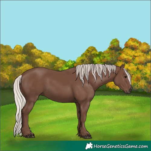 Horse Color:Silver Black 