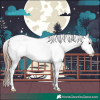 Horse Color:Brown Roan Dun Tobiano Blanket 