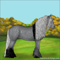 Horse Color:Void Silver Grullo Chinchilla Tobiano